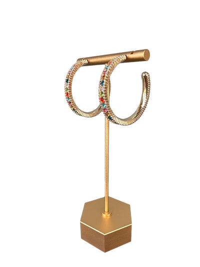 Rainbow Hoop Earrings